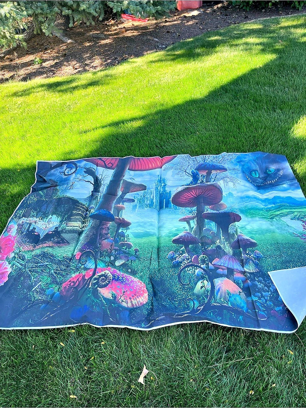 Alice in Wonderland Misc Mushroom Decor Photo Backdrop